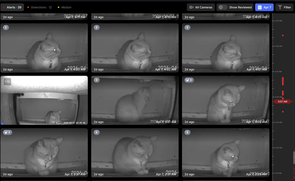 A screenshot of Frigate, showing a matrix of cats from object detection